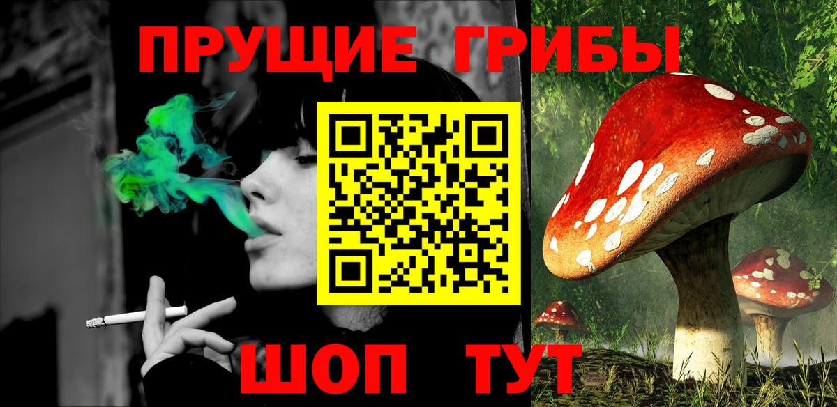 Рославль  Псилоцибиновые грибы ЛСД  Вход с VPN  Галлюциногенные грибы Psilocybe 